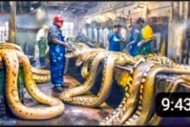 I am new here I want to earn from here how to do